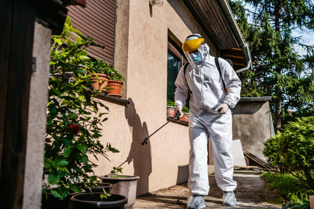 Best Best Pest Control Companies  in Everett, PA