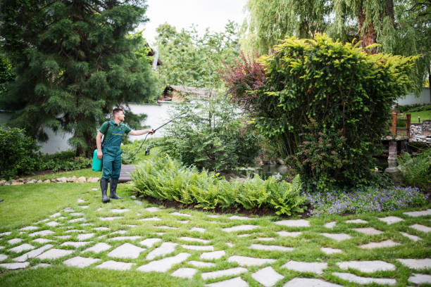 Best Ant Control Services  in Everett, PA